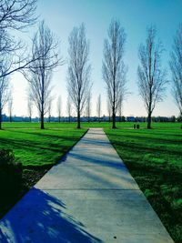 Scenic view of landscape against clear sky