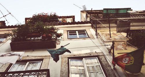 Low angle view of bird flying against building