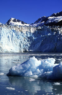 Glacier in the sea bay.