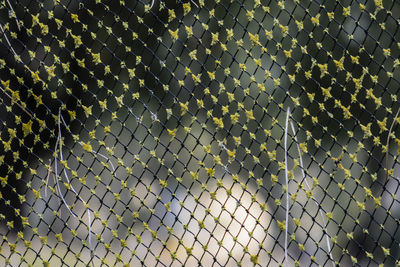 Full frame shot of chainlink fence