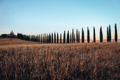 horizon