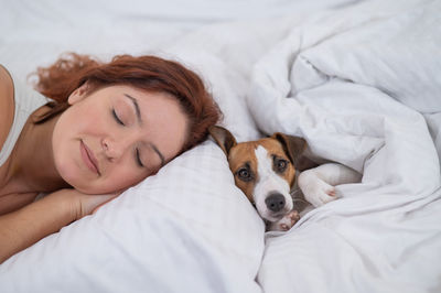 Close-up of dog sleeping on bed at home