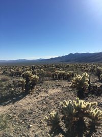 Scenic view of desert against clear blue sky