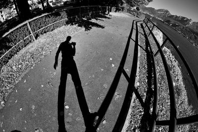 High angle view of silhouette man standing by tree