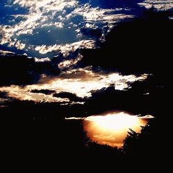 Silhouette trees against sky during sunset