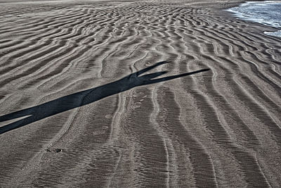 View of tire tracks on sand