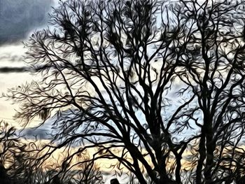 Low angle view of bare trees against sky