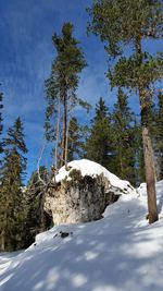 Scenic view of snow covered landscape