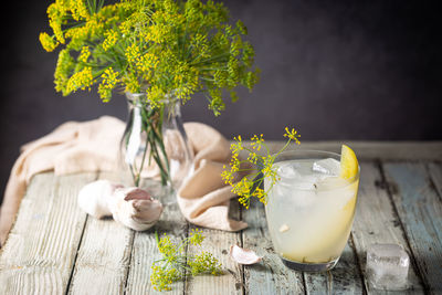 Close-up of potted plant on table