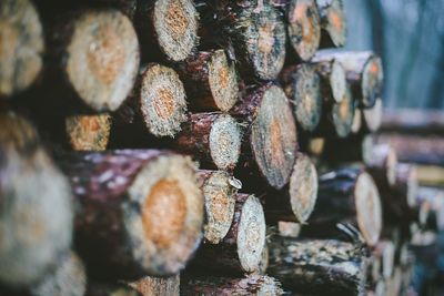 Full frame shot of logs