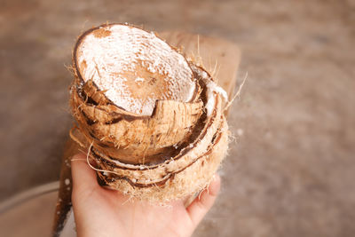 Close-up of hand holding coconut shells