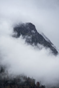 Trees on mountain against sky