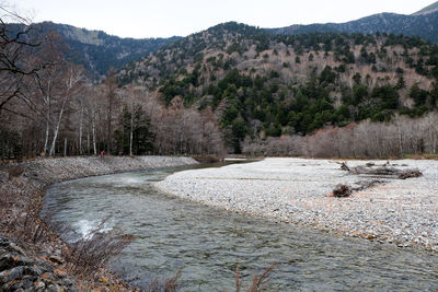 Scenic view of river amidst trees against sky