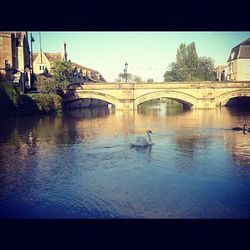 Bridge over river