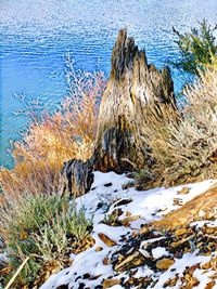 High angle view of frozen lake