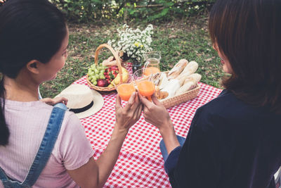 Women toasting juice while sitting at park