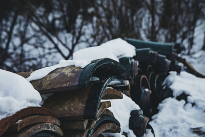 Close-up of snow covered land and trees on field