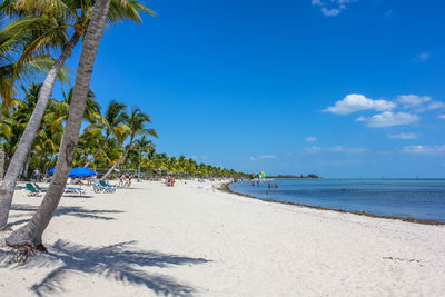 Scenic view of beach against blue sky