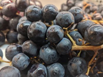 Full frame shot of blueberries