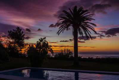 Silhouette palm trees by swimming pool against sky during sunset