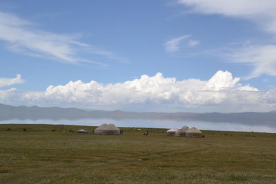 Scenic view of field against sky