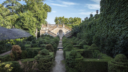 Trees in garden against sky