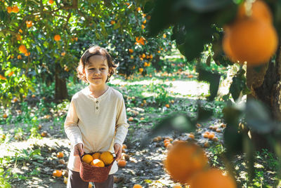 A little boy is holding a basket of bright oranges in his hands.