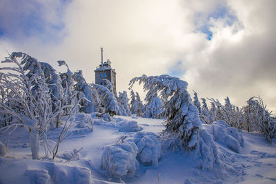 Schneebedeckte bäume auf dem fichtelberg im erzgebirge