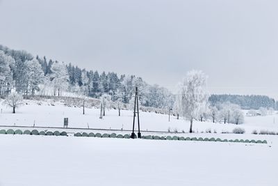 Snow covered land and trees against sky