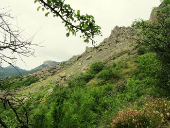 Scenic view of mountains against clear sky