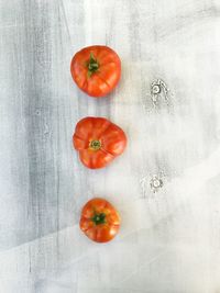 High angle view of tomatoes against white background