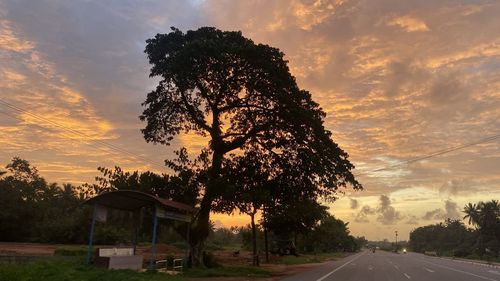 Silhouette tree by road against sky during sunset