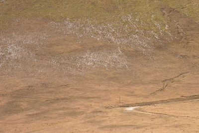 Full frame shot of weathered wall