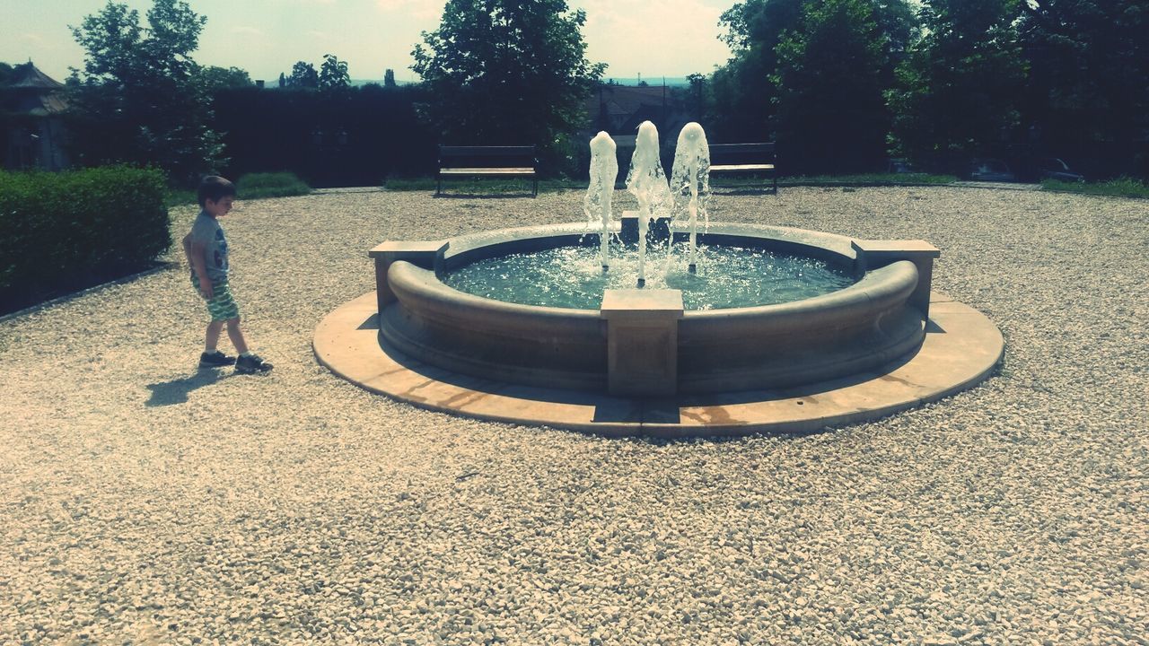 tree, water, park - man made space, sunlight, shadow, day, tranquility, no people, outdoors, nature, absence, empty, fountain, close-up, focus on foreground, park, street, transportation, river, tranquil scene