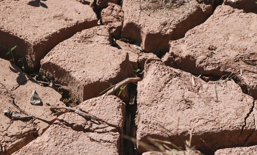 Close-up of rock