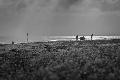 People on beach against sky