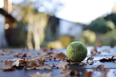 Close-up of tennisball on table