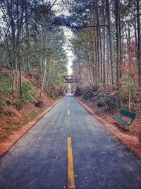 Road amidst trees in forest