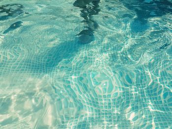 Full frame shot of swimming pool