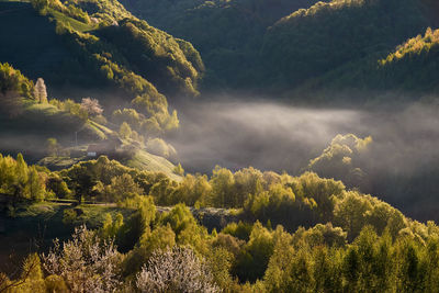A photo taken at sunrise in holbav, brasov.