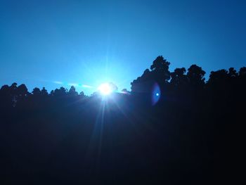 Sunlight streaming through silhouette trees against bright sun
