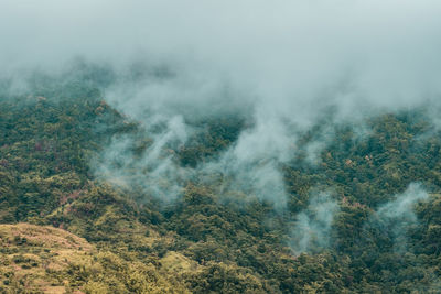 High angle view of trees on land against sky