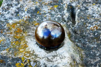 High angle view of ball on rock