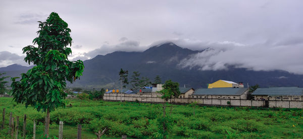 Built structure on field against sky