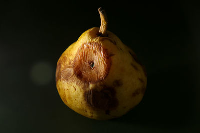 Close-up of apple against black background