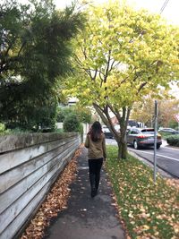 Rear view of man walking on footpath