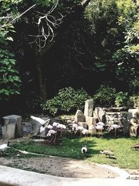 Statue in cemetery