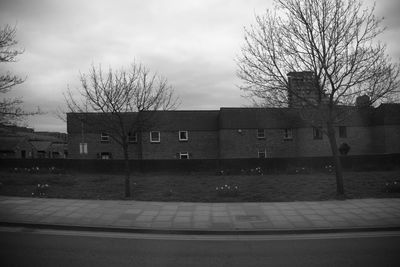 Buildings along bare trees