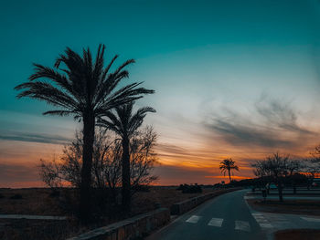 Silhouette palm tree by road against sky during sunset