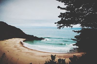 Scenic view of beach